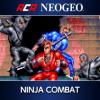 ACA NeoGeo: Ninja Combat